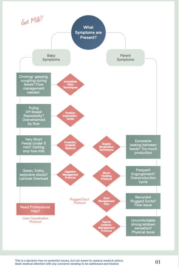 Lactation Protocols- Oversupply & Fast Letdown - Image 2